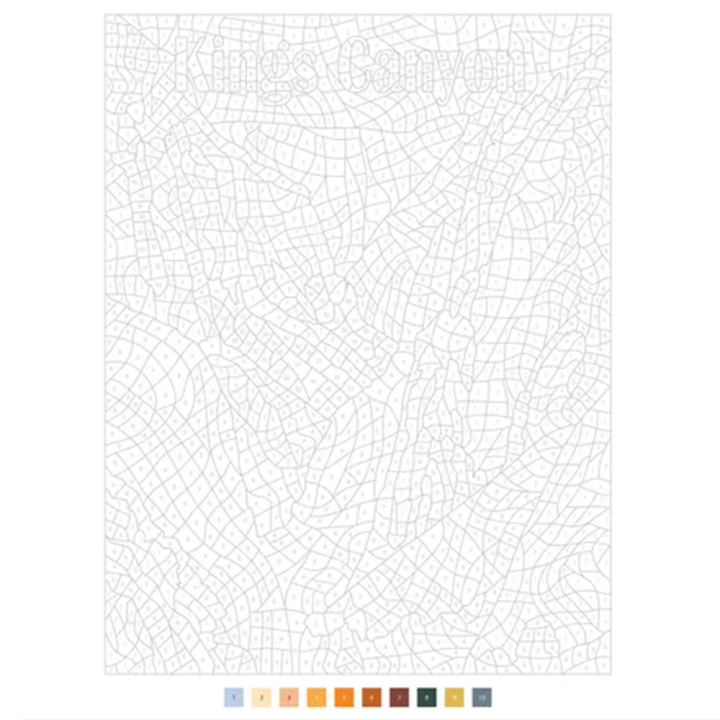 Parcs nationaux américains 40 Coloriages Mystère - Dessain et Tolra - Rougier et Plé
