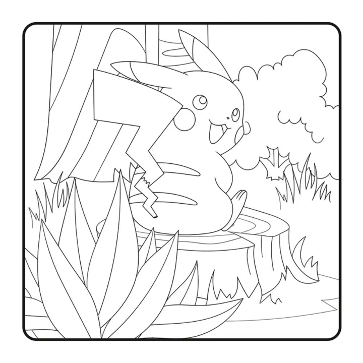 Cosy Colo Pokémon Pause douceur - Hachette - Rougier et Plé