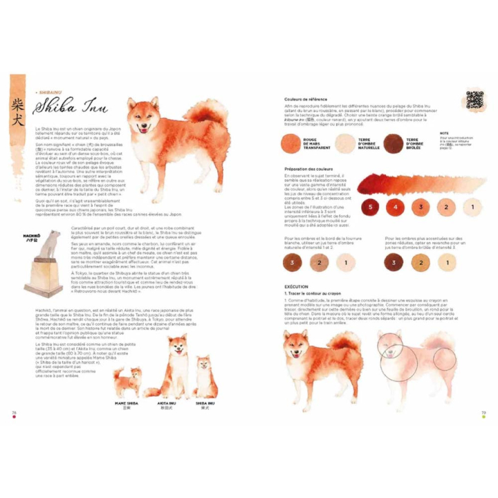 Livre Leçons d'aquarelle japonaise L'art de peindre les animaux - Nuinui - Rougier et Plé