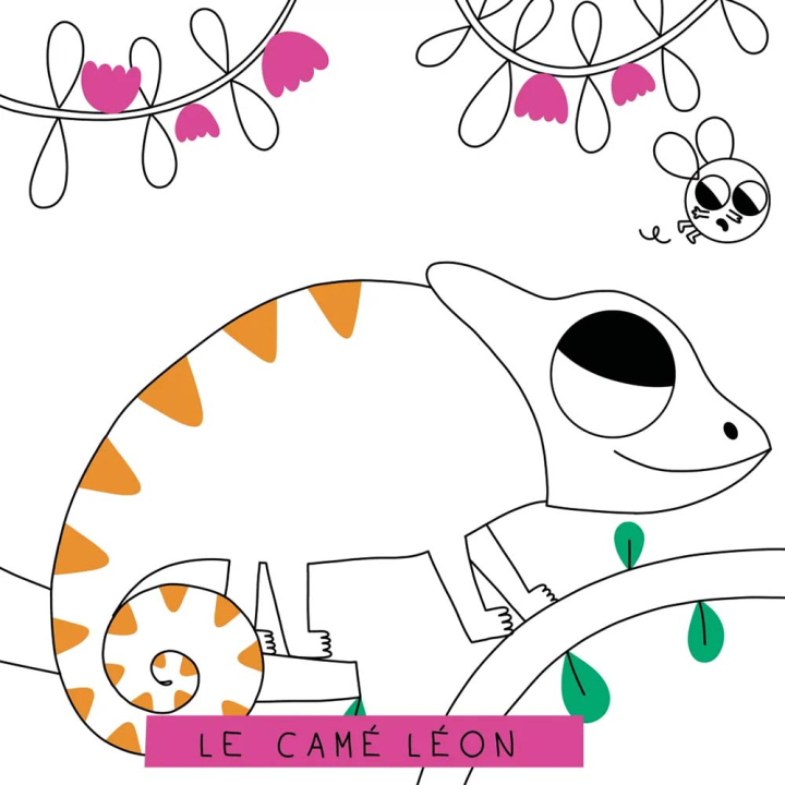 Mon colo méli-mélo Animaux de la jungle - Hemma - Rougier et Plé
