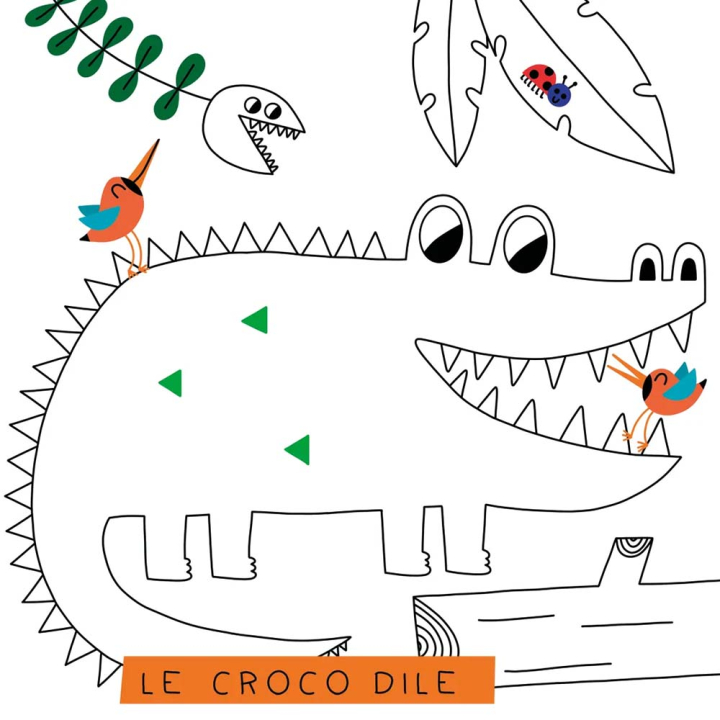 Mon colo méli-mélo Animaux rigolos - Hemma - Rougier et Plé