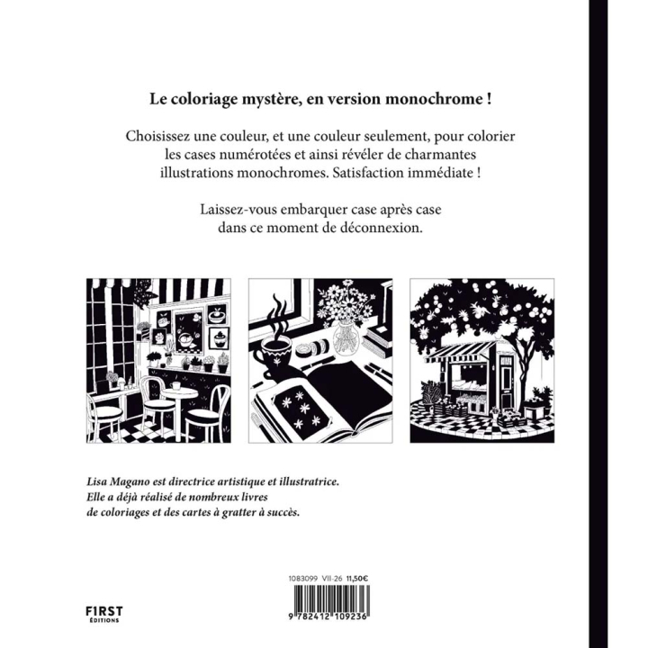 Livre de coloriages mystères Monochromatique Les petites boutiques - First Editions - Rougier et Plé