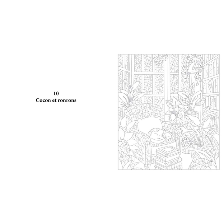 Livre de coloriages mystères Monochromatique Les petites boutiques - First Editions - Rougier et Plé