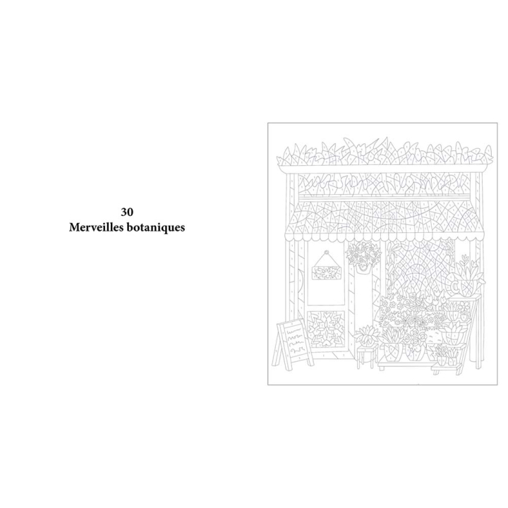 Livre de coloriages mystères Monochromatique Les petites boutiques - First Editions - Rougier et Plé