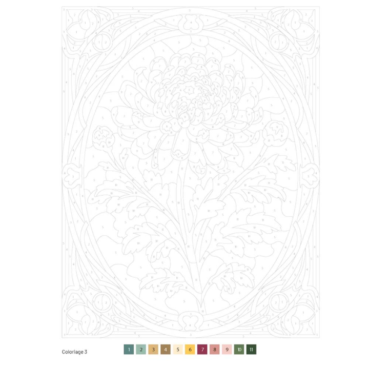 Mon grand carnet de coloriages au numéro Fleurs et fruits - Solar - Rougier et Plé