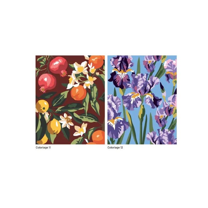 Mon grand carnet de coloriages au numéro Fleurs et fruits - Solar - Rougier et Plé