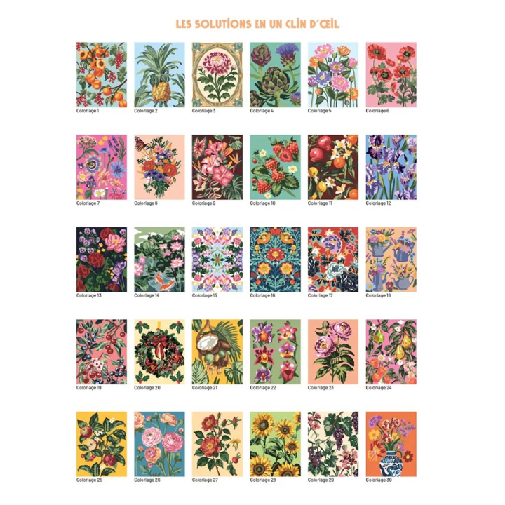 Mon grand carnet de coloriages au numéro Fleurs et fruits - Solar - Rougier et Plé