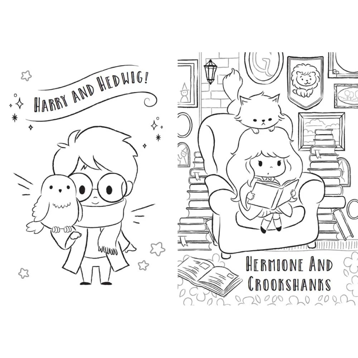 Livre de coloriages Harry Potter Aventures au château - Dragon D'Or - Rougier et Plé
