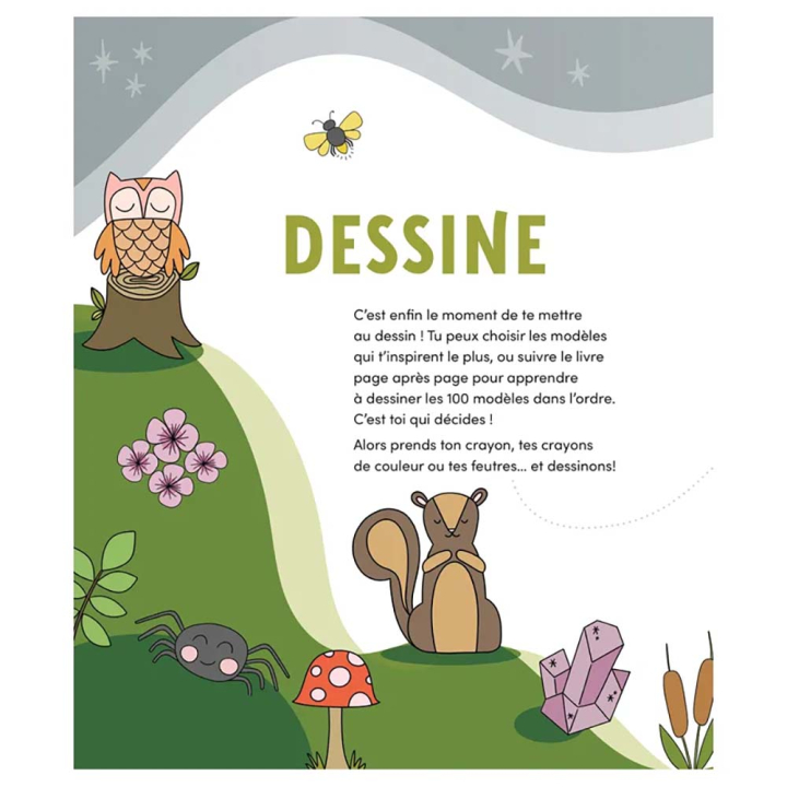 Livre 100 motifs animaux & nature à dessiner - Editions de Saxe - Rougier et Plé