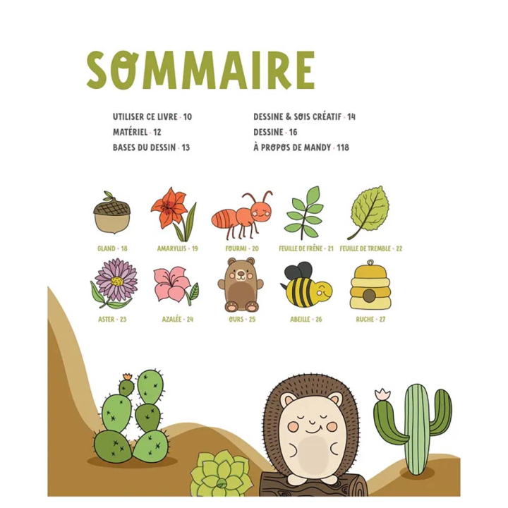 Livre 100 motifs animaux & nature à dessiner - Editions de Saxe - Rougier et Plé