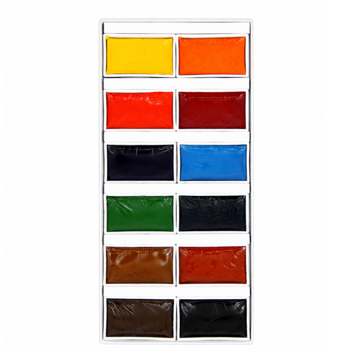 Aquarelle opaque style Gansai Set 12 godets - Rougier&Plé - Rougier et Plé