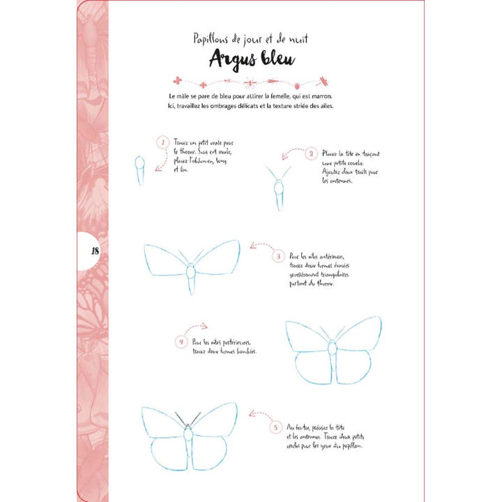 Livre 10 étapes pour dessiner des papillons et des insectes - Vigot - Rougier et Plé