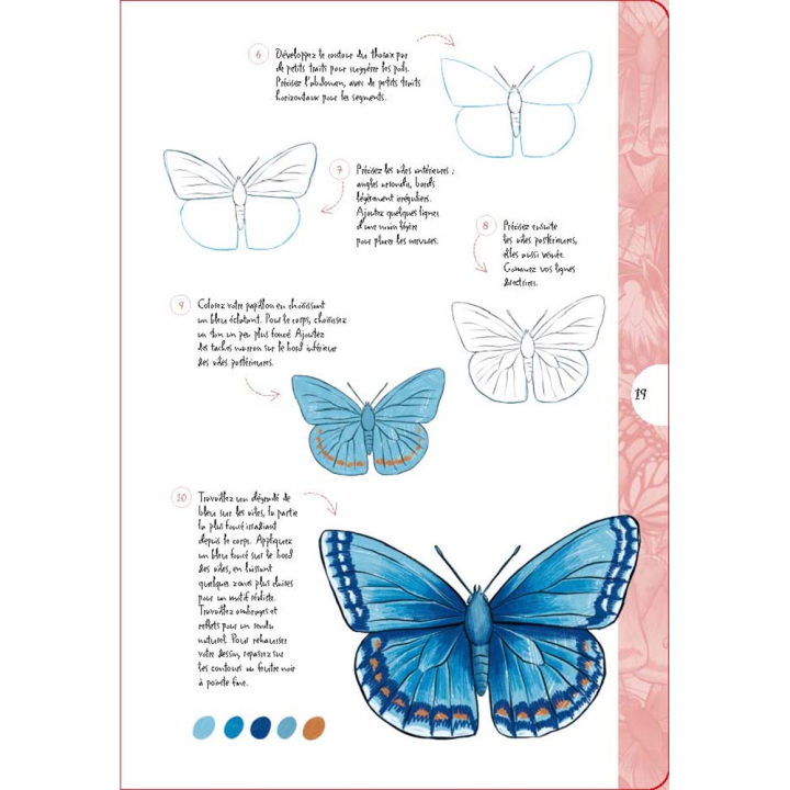 Livre 10 étapes pour dessiner des papillons et des insectes - Vigot - Rougier et Plé