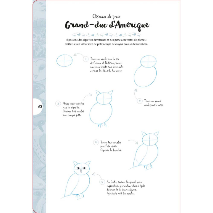 Livre 10 étapes pour dessiner des oiseaux - Vigot - Rougier et Plé