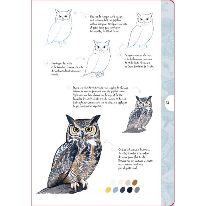 Livre 10 étapes pour dessiner des oiseaux - Vigot - Rougier et Plé