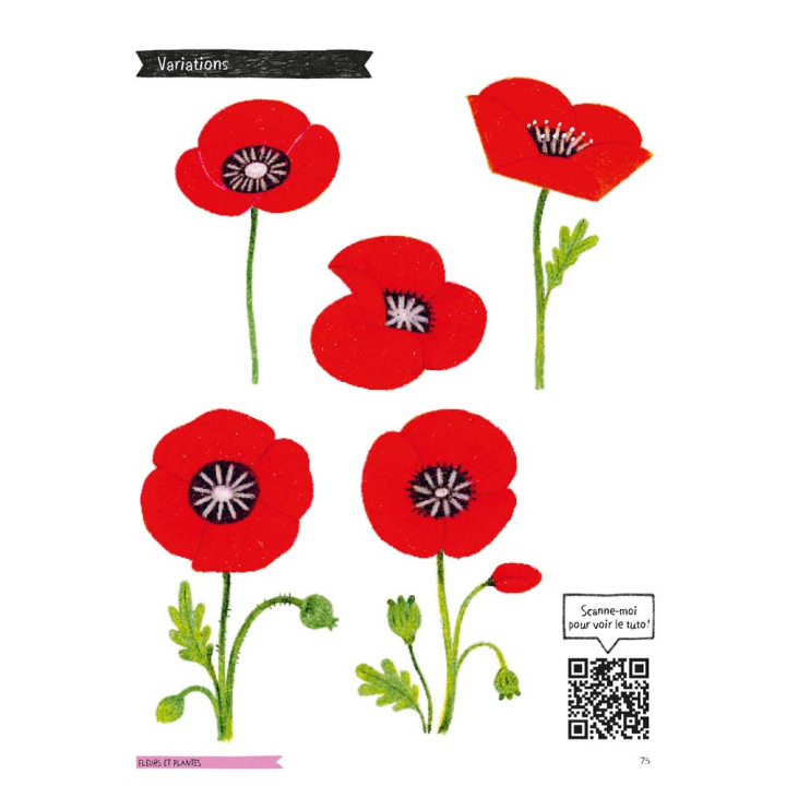 Livre Le jardin aux crayons de couleur - Vigot - Rougier et Plé