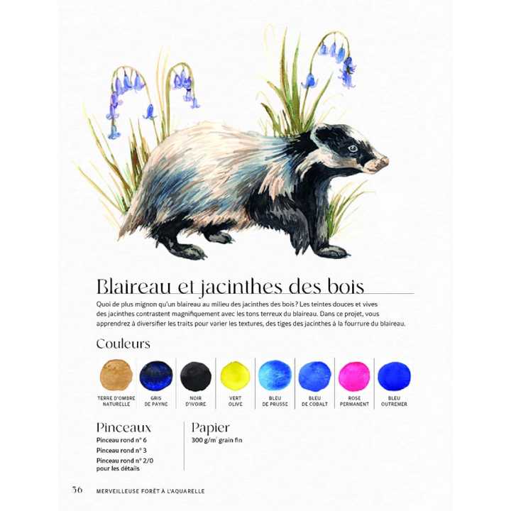 Livre Merveilleuse forêt à l'aquarelle - Vigot - Rougier et Plé