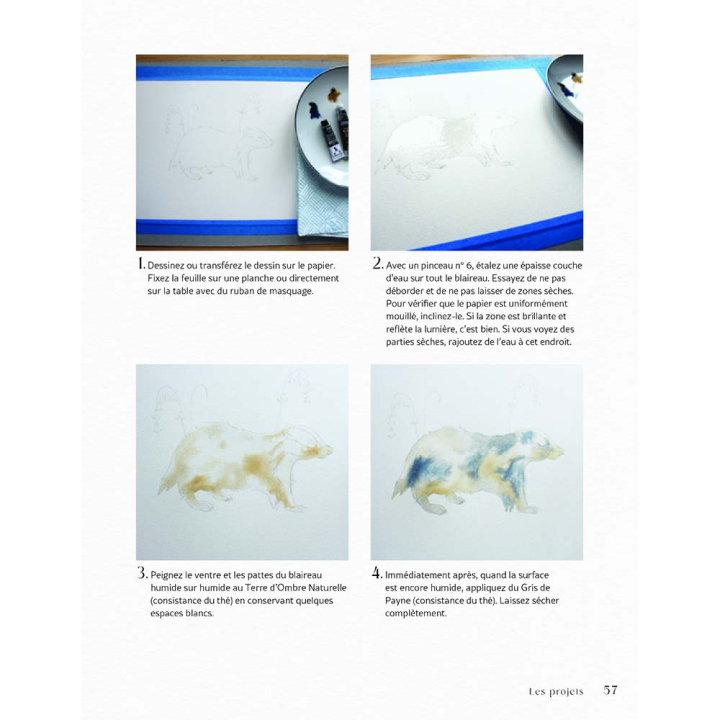 Livre Merveilleuse forêt à l'aquarelle - Vigot - Rougier et Plé