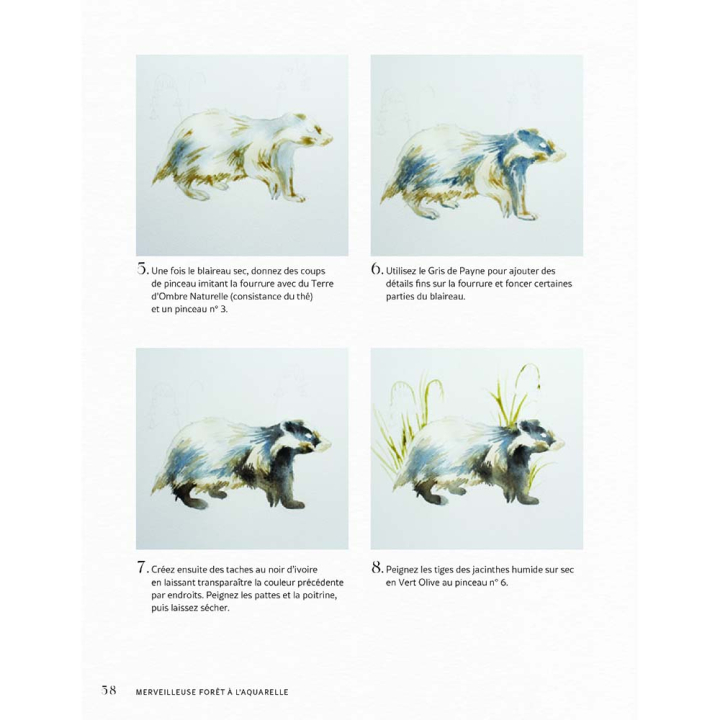 Livre Merveilleuse forêt à l'aquarelle - Vigot - Rougier et Plé