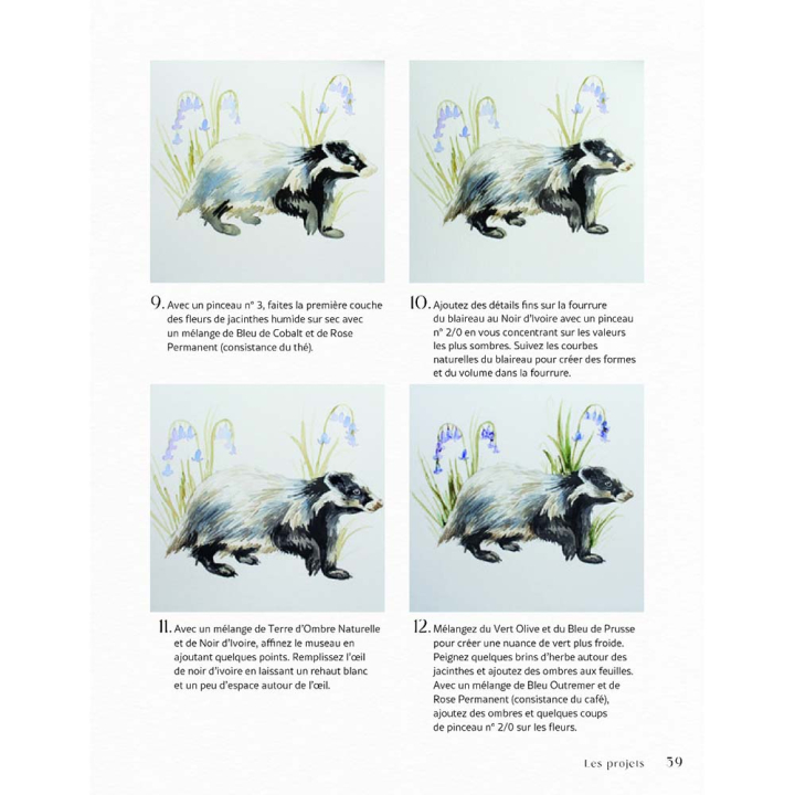 Livre Merveilleuse forêt à l'aquarelle - Vigot - Rougier et Plé