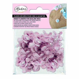 Fleurs séchées rose poudré pour cire à cacheter - Aladine - Rougier et Plé