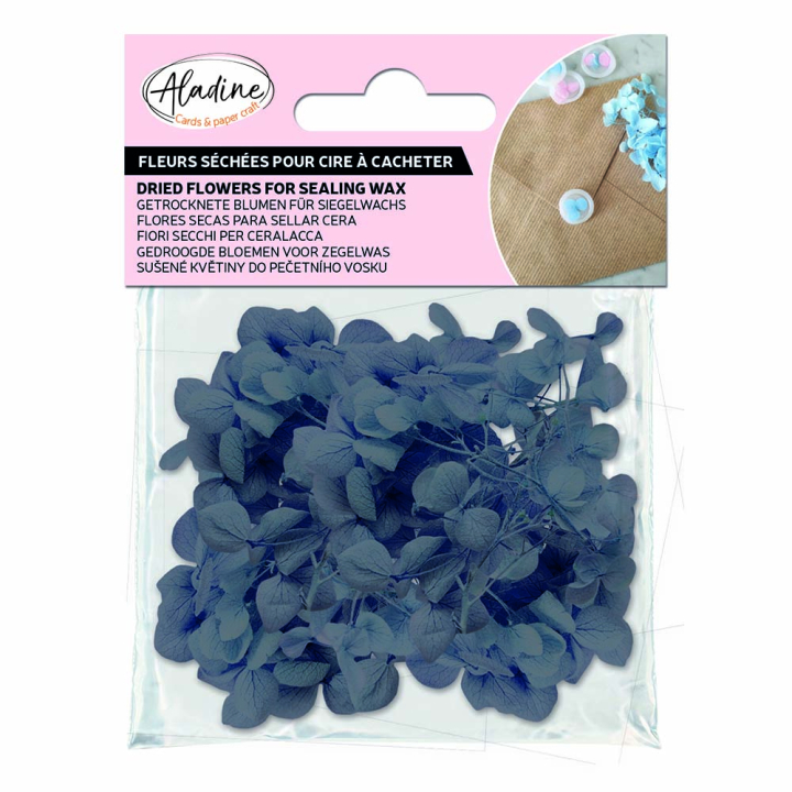 Fleurs séchées bleu nuit pour cire à cacheter - Aladine - Rougier et Plé
