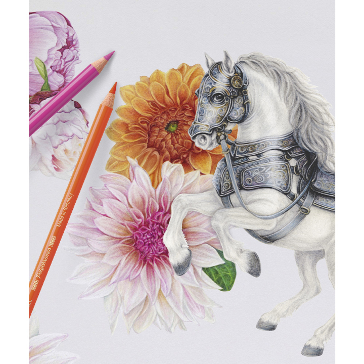 Boîte métal de 20 crayons de couleurs Polychromos - Faber-Castell - Rougier et Plé