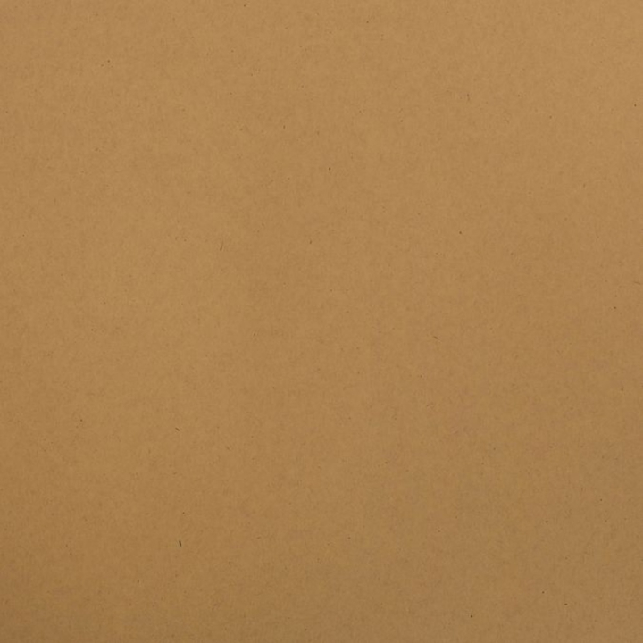Papier classic dark kraft 30 x 30 cm - Bazzill Basics Paper - Rougier et Plé