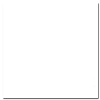 Papier cartonné lisse Cardstock 30,5 x 30,5 cm Blanc - Bazzill Basics Paper - Rougier et Plé