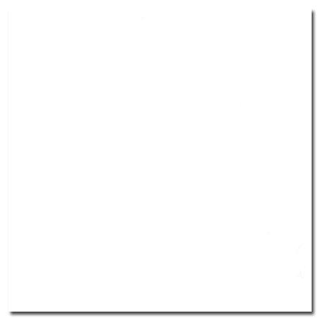 Papier cartonné lisse Cardstock 30,5 x 30,5 cm Blanc - Bazzill Basics Paper - Rougier et Plé