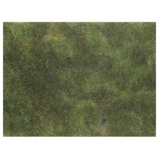 Foliage Vert olive 12 x 18 cm - Noch - Rougier et Plé
