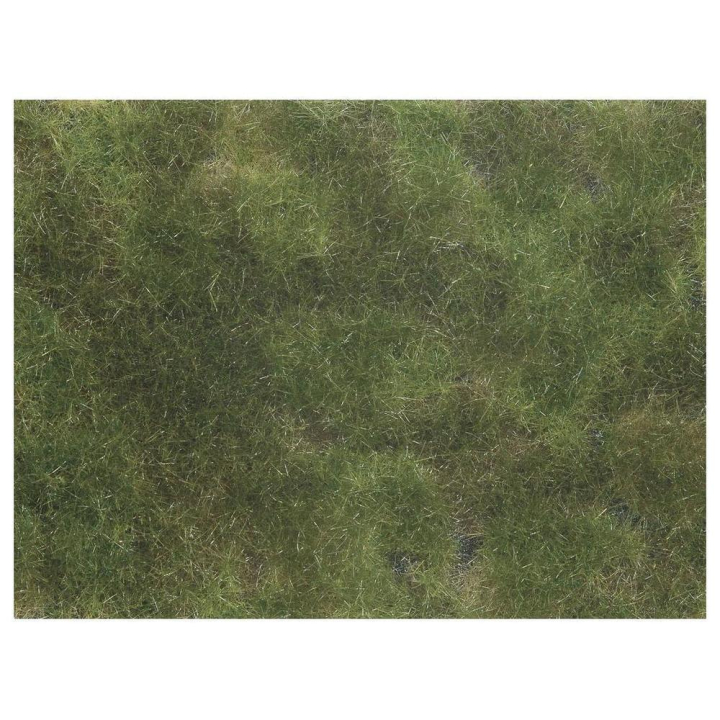 Foliage Vert olive 12 x 18 cm - Noch - Rougier et Plé