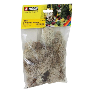 Mousse Gris 35 g - Noch - Rougier et Plé