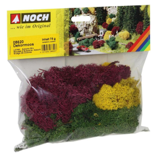 Mousse d'Automne 75 g - Noch - Rougier et Plé