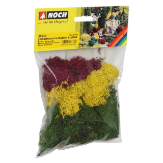 Mousse d'Automne 35 g - Noch - Rougier et Plé