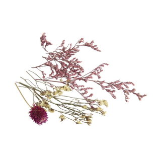 Mini fleurs séchées rose tendre - Rayher - Rougier et Plé