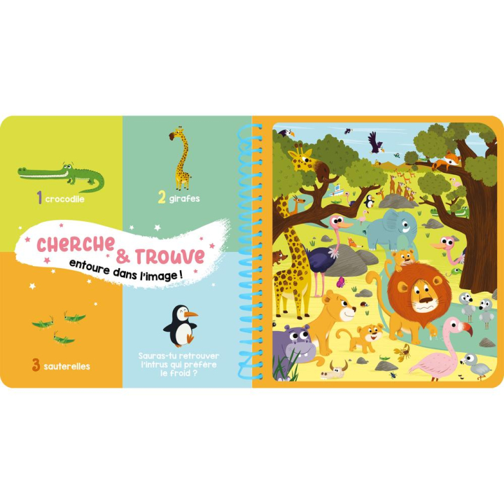 Mes jeux effaçables Les animaux du monde - Deux Coqs d’or - Rougier et Plé