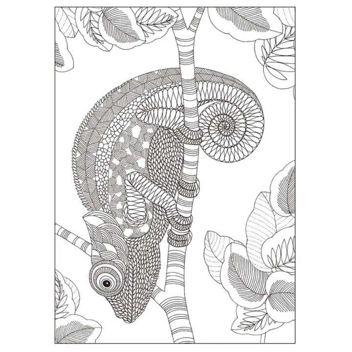 Animaux fantastiques 20 cartes postales détachables à colorier - Marabout - Rougier et Plé