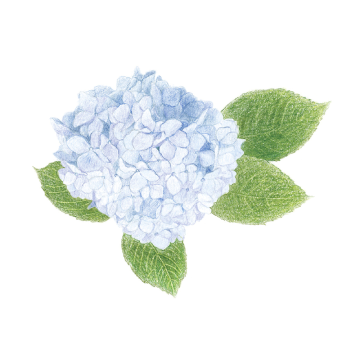 Crayon de couleur Irojiten set 2 - 10 pcs - Tombow - Rougier et Plé