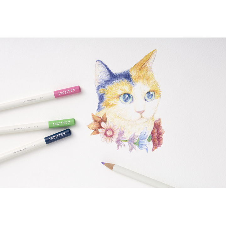 Crayon de couleur Irojiten set 8 - 10 pcs - Tombow - Rougier et Plé
