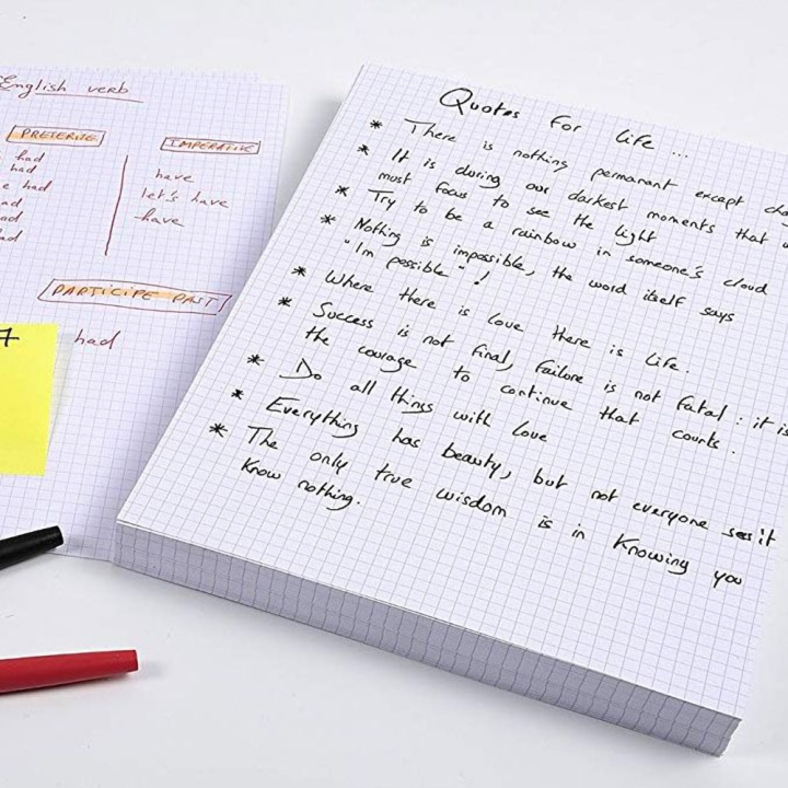 Fiche Bristol blanc Q 5x5 100 feuilles - Exacompta - Rougier et Plé
