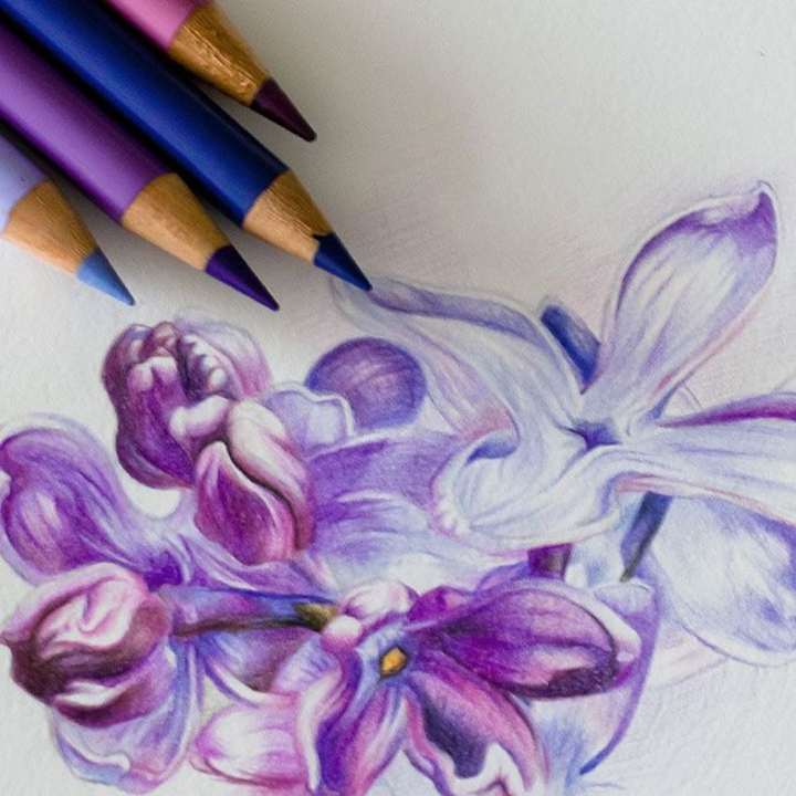 Crayon de couleur Polychromos - Faber-Castell - Rougier et Plé