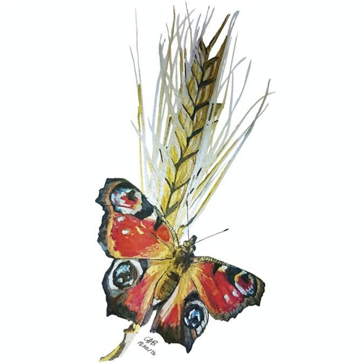 Aquarelle japonaise Gansai Tambi 12 godets - Kuretake - Rougier et Plé