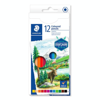 Crayon de couleur Design Journey étui de 12 pcs - Staedtler - Rougier et Plé