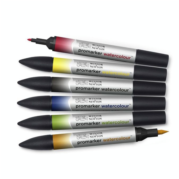 Marqueur d'aquarelle double pointe Set tons Basiques 6 pcs - Winsor & Newton - Rougier et Plé