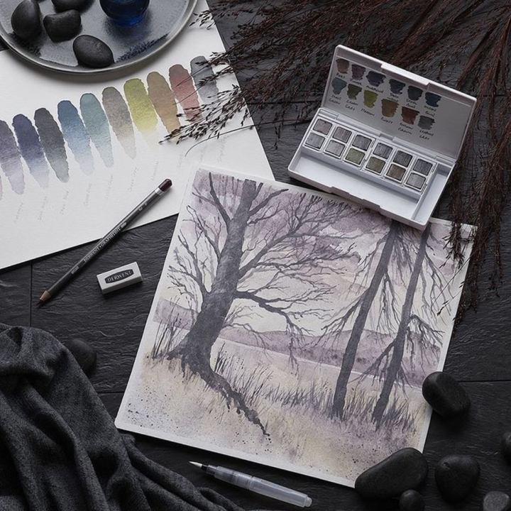Graphite aquarellable Graphitnt 12 demi-godets - Derwent - Rougier et Plé