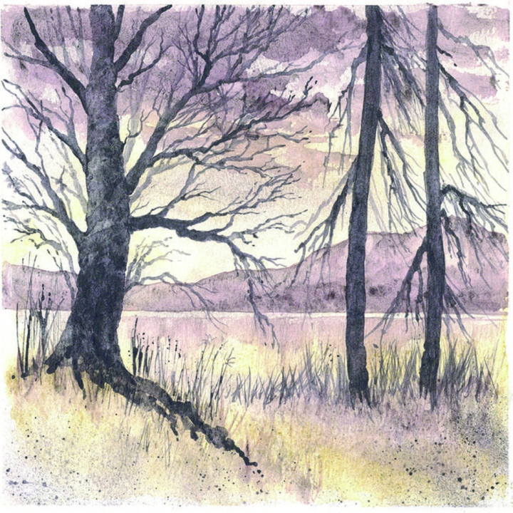 Graphite aquarellable Graphitnt 12 demi-godets - Derwent - Rougier et Plé