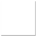 Papier cartonné lisse Cardstock 30,5 x 30,5 cm Blanc - Bazzill Basics Paper - Rougier et Plé
