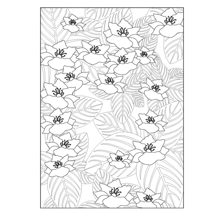 Livre de coloriage Jardin suspendu - Solar - Rougier et Plé