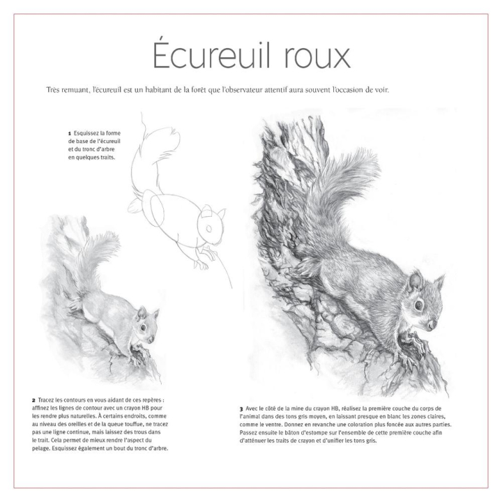 Livre Dessiner tout de suite et facilement : La nature - Éditions Vigot - Rougier et Plé
